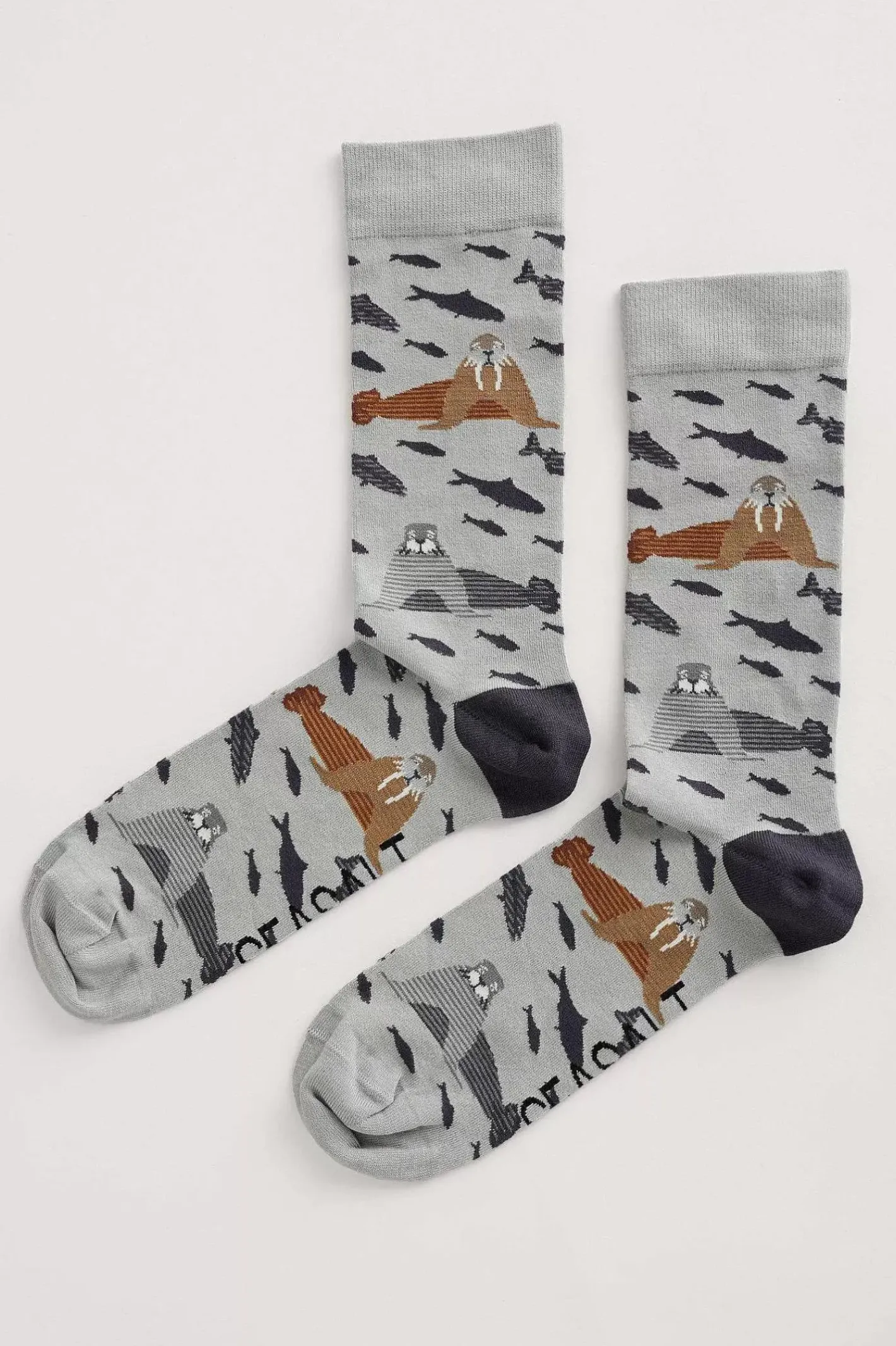 Men Seasalt Cornwall Men's Arty Socks